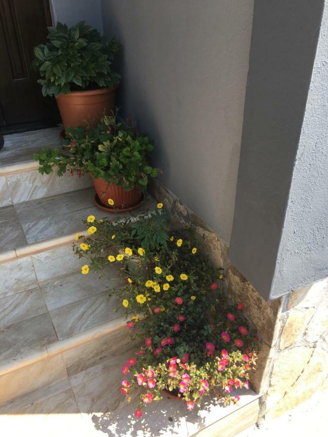 Apartmani Miljana Bar Exterior photo